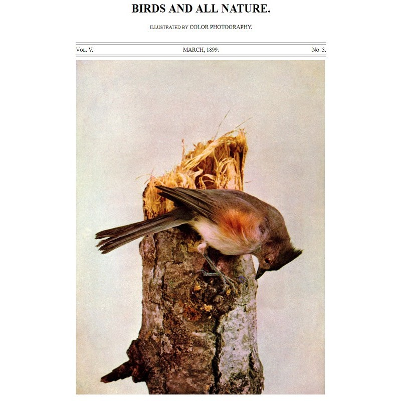 Птахи і вся природа, том....