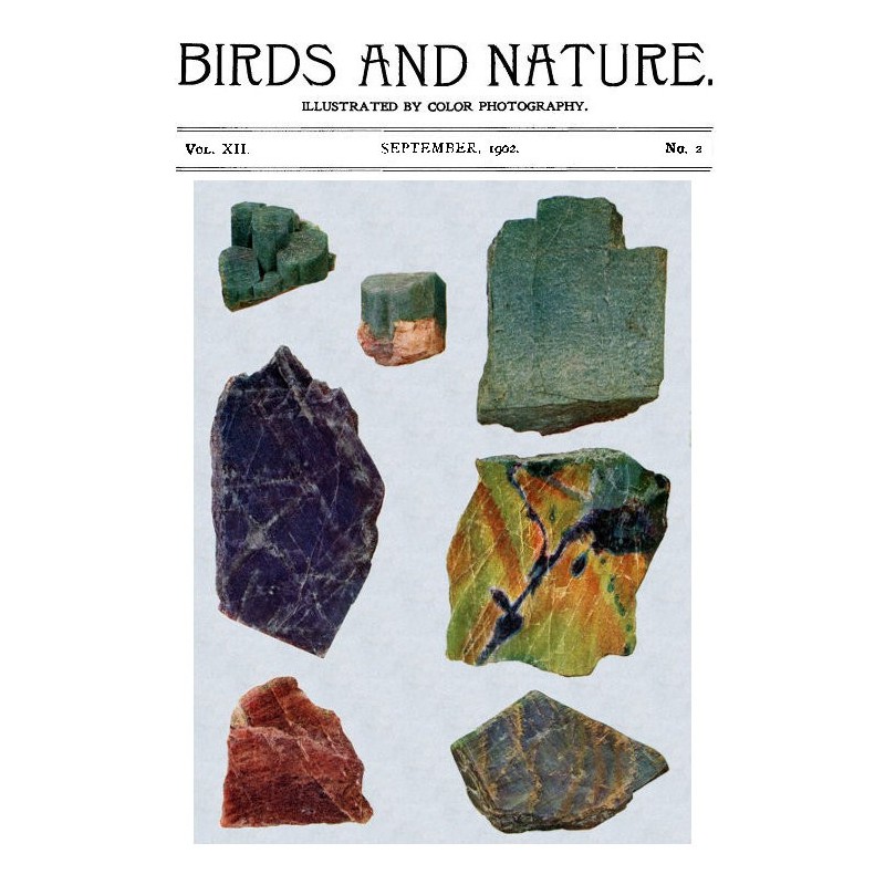 Birds and Nature, Vol. 12...