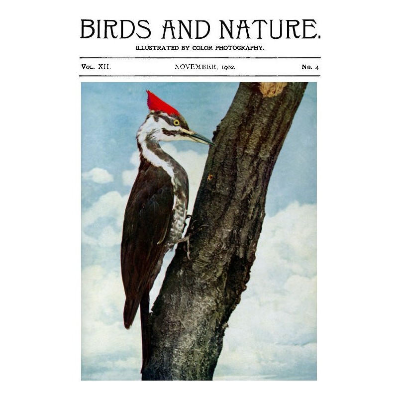 Birds and Nature, Vol. 12...