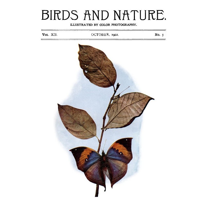 Birds and Nature, Vol. 12...