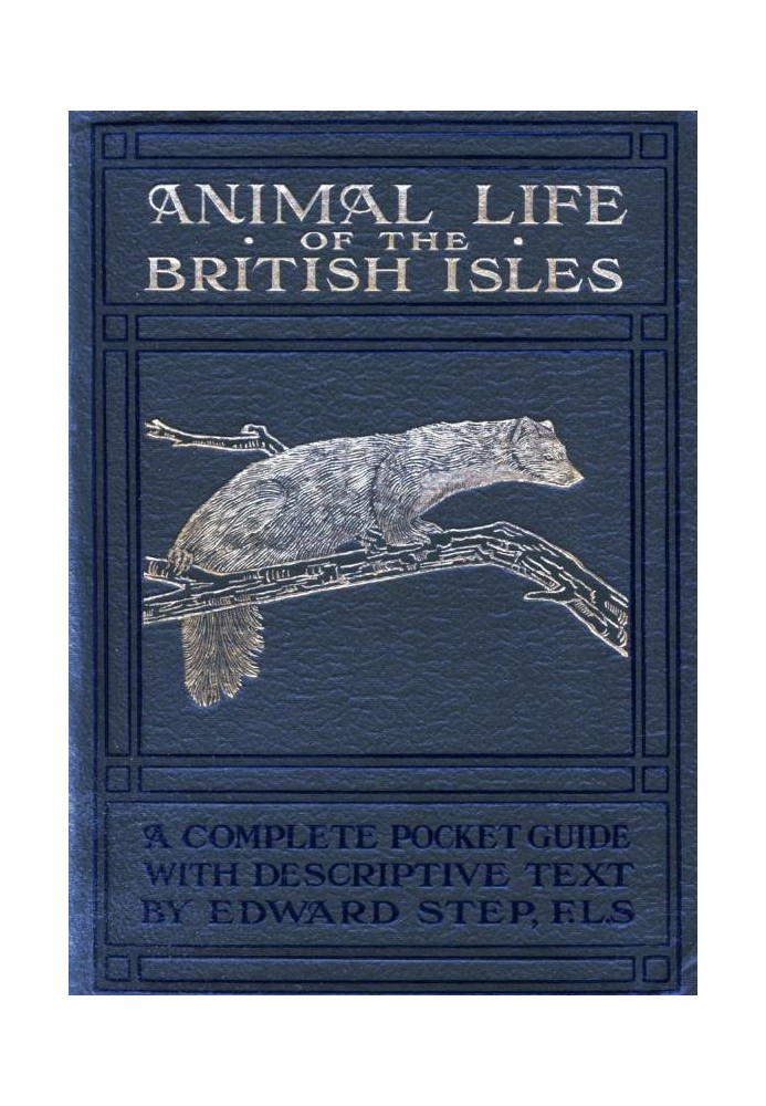 Animal Life of the British Isles A Pocket Guide to the Mammals, Reptiles and Batrachians of Wayside and Woodland