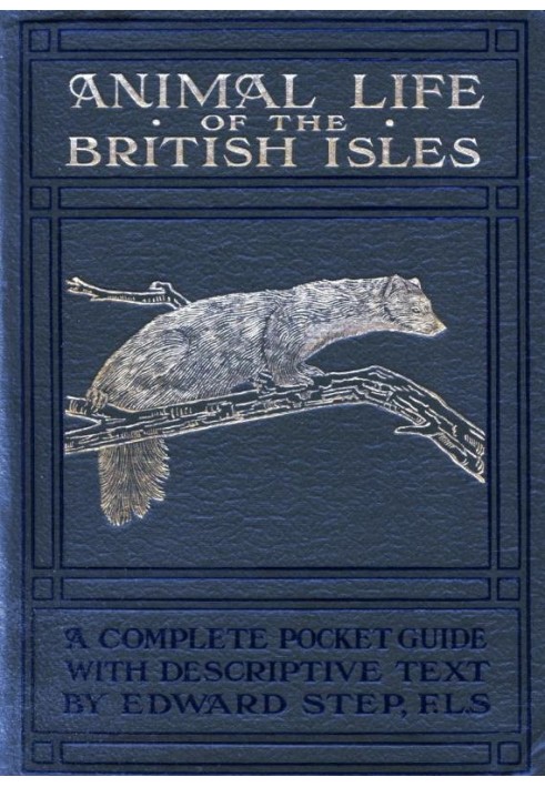 Animal Life of the British Isles A Pocket Guide to the Mammals, Reptiles and Batrachians of Wayside and Woodland