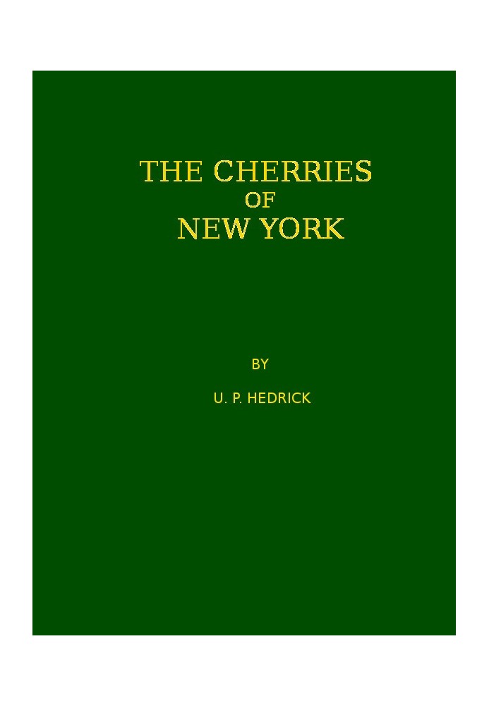 The cherries of New York