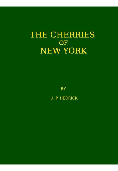 The cherries of New York