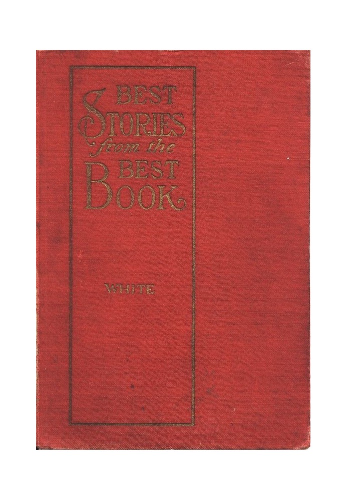 Best Stories from the Best Book: An Illustrated Bible Companion for the Home