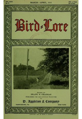 Bird-Lore, березень-квітень 1916 р