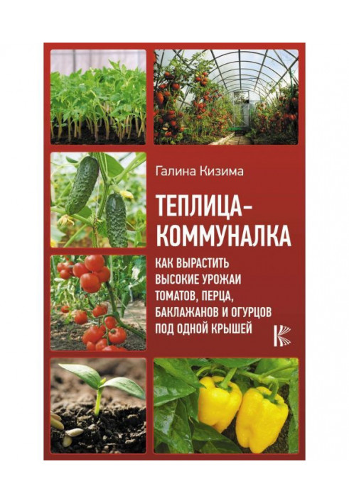 Теплица-коммуналка. Как вырастить высокие урожаи томатов, перца, баклажанов и огурцов под одной крышей