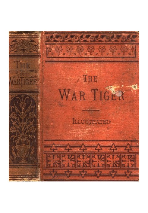 The War Tiger Or, Adventures and Wonderful Fortunes of the Young Sea Chief and His Lad Chow: A Tale of the Conquest of China