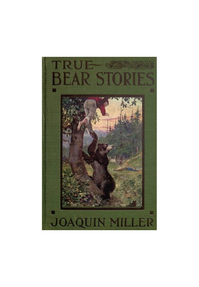 True Bear Stories