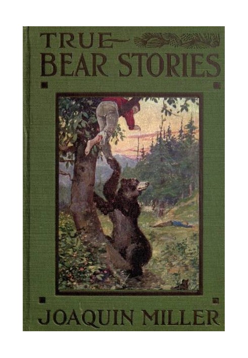 True Bear Stories