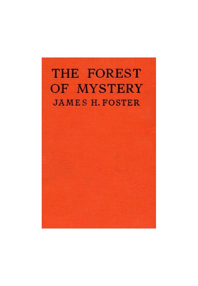 The Forest of Mystery