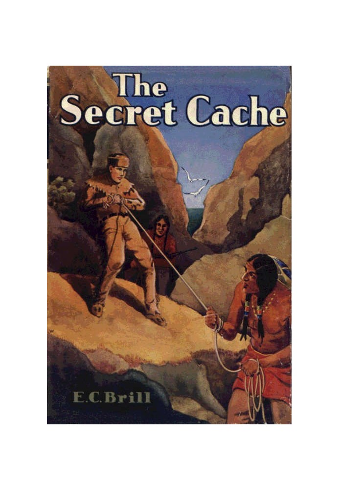 The Secret Cache: An Adventure and Mystery Story for Boys