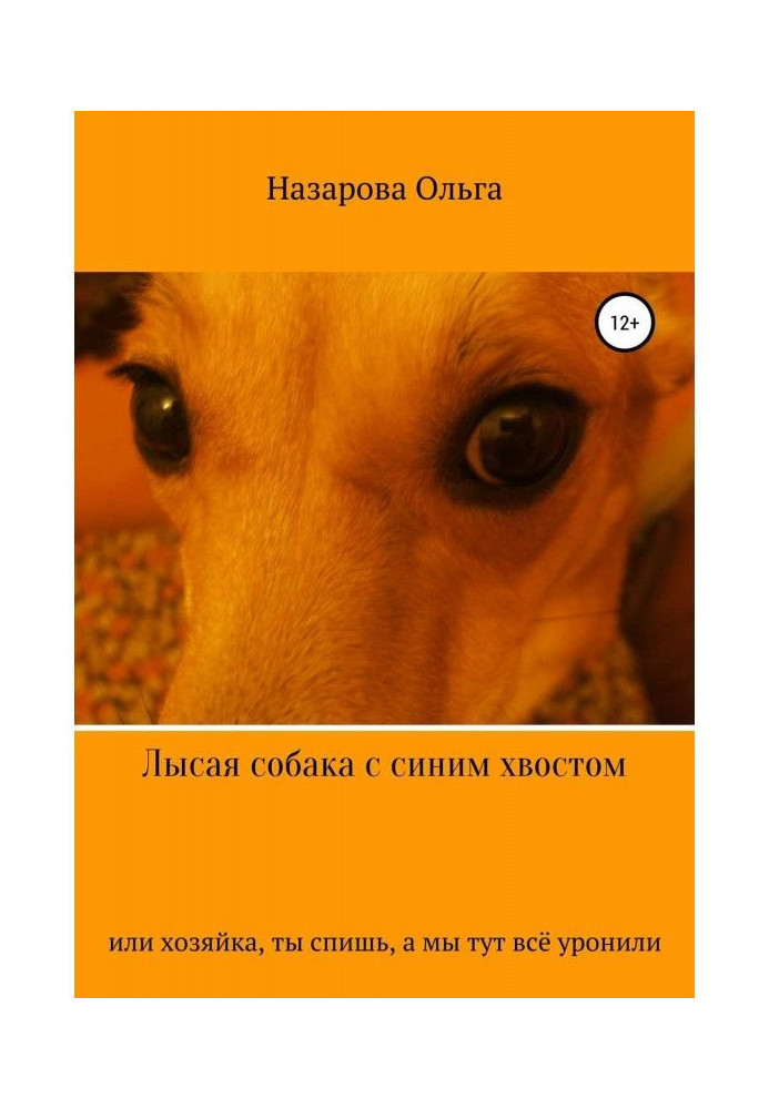 Лысая собака с синим хвостом, или хозяйка, ты спишь, а мы тут всё уронили!