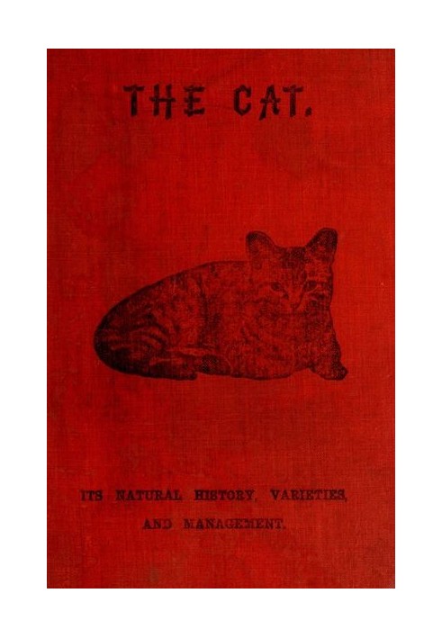 The Cat: Its Natural History; Domestic Varieties; Management and Treatment