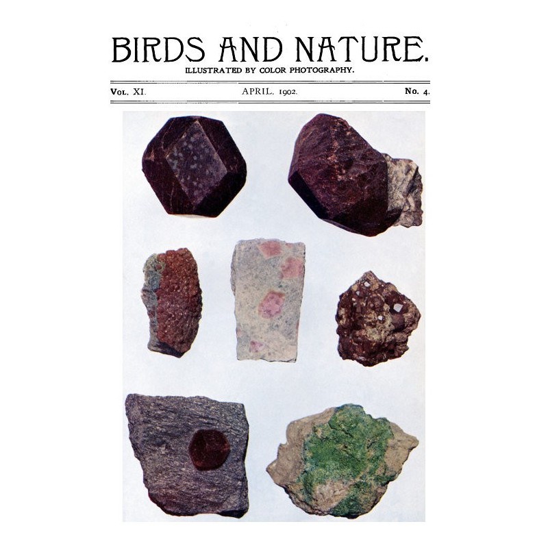 Birds and Nature Vol. 11...