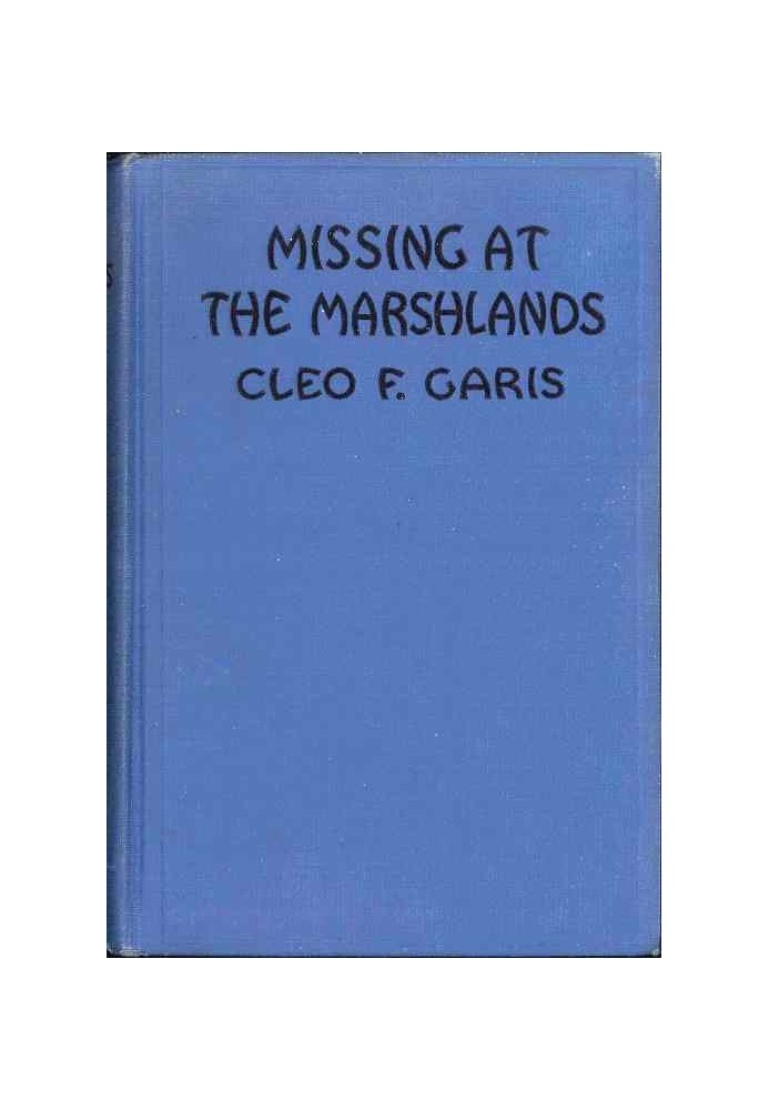 Missing at Marshlands Arden Blake Mystery Series #3