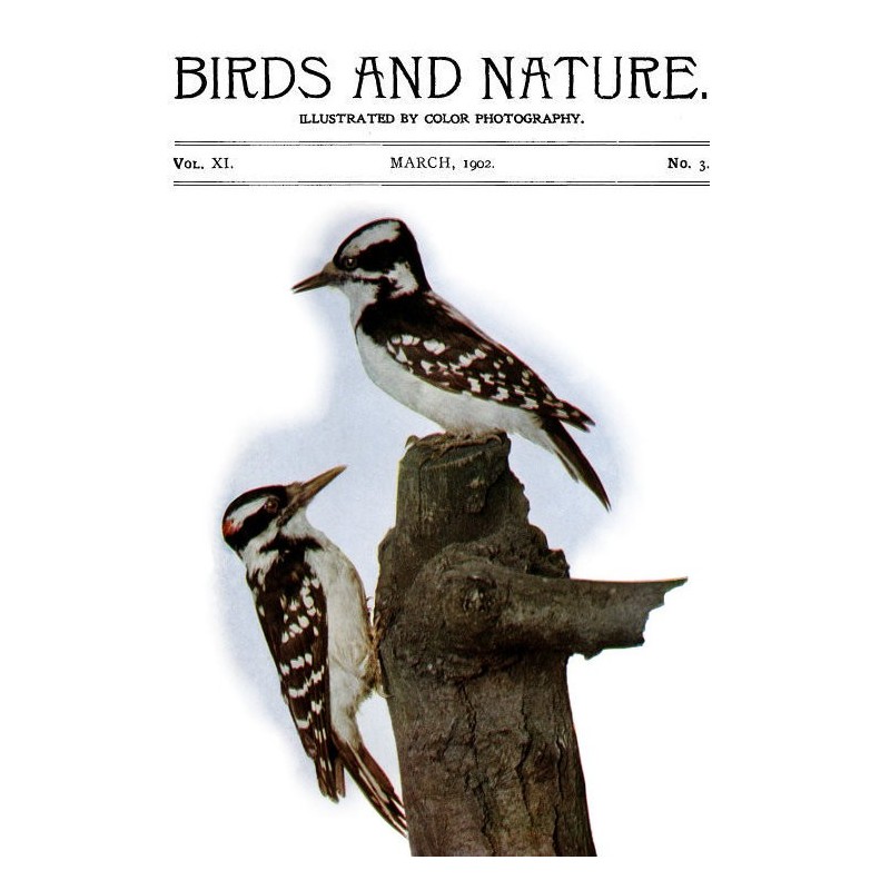 Birds and Nature Vol. 11...