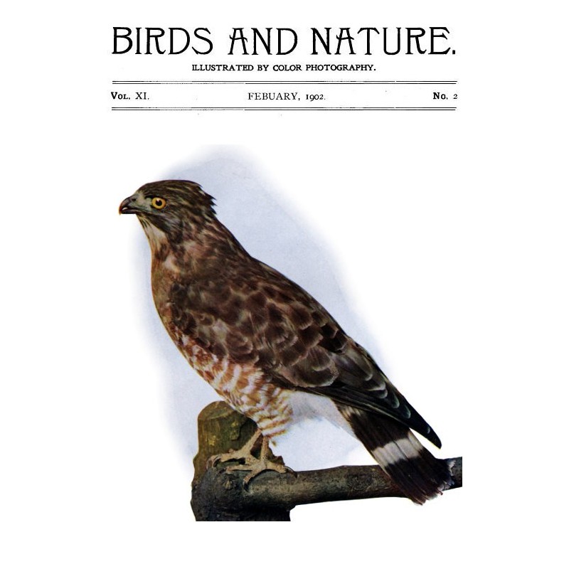 Birds and Nature Vol. 11...