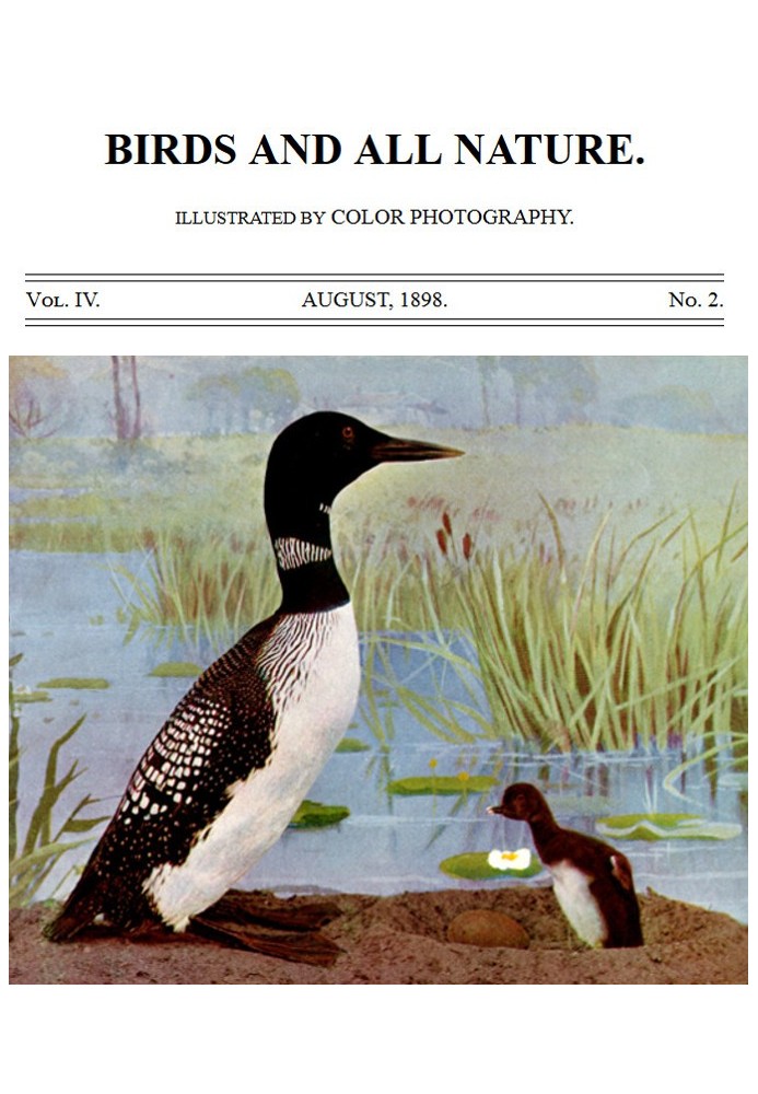 Birds and All Nature, Vol. 4, No. 2, August 1898 Illustrated by Color Photography