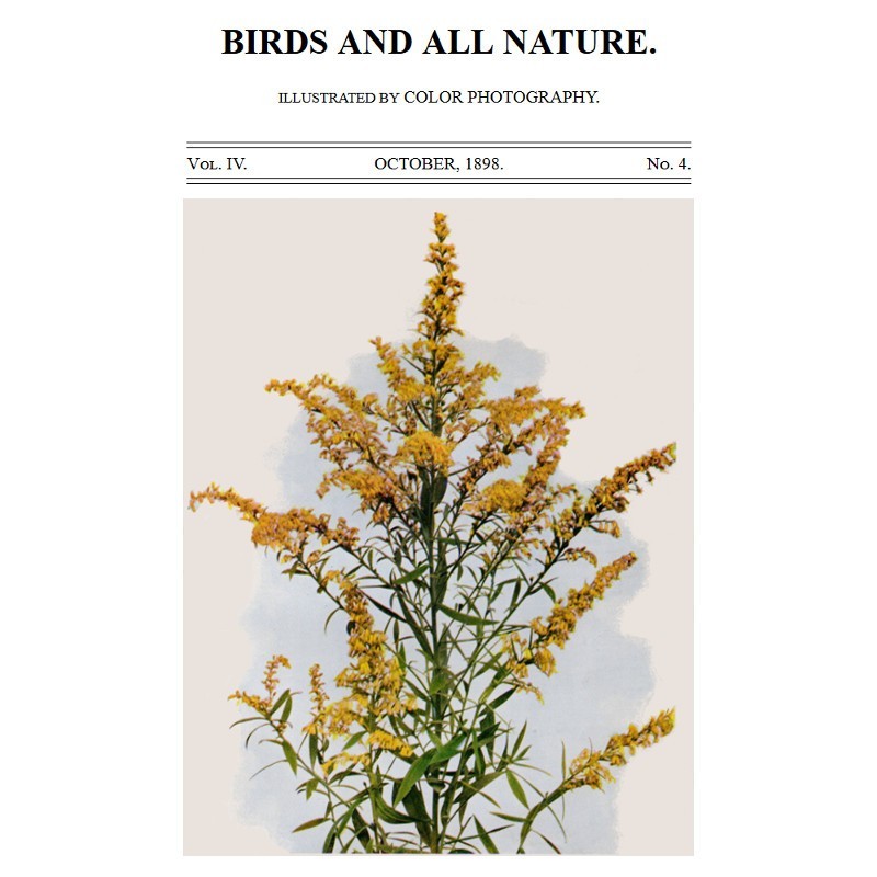 Birds and All Nature, Vol....