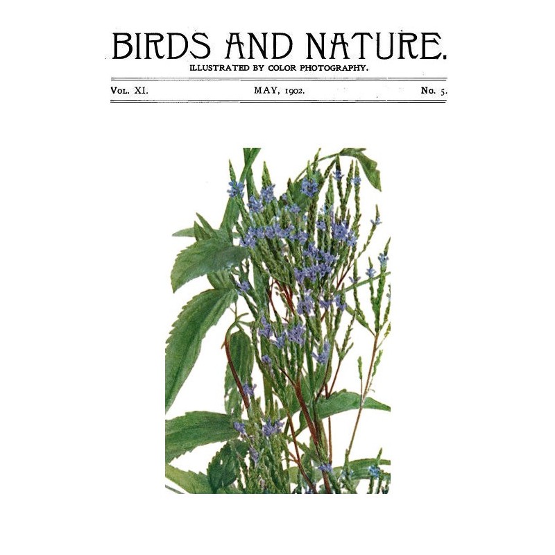 Птицы и природа Том. 11 № 5...