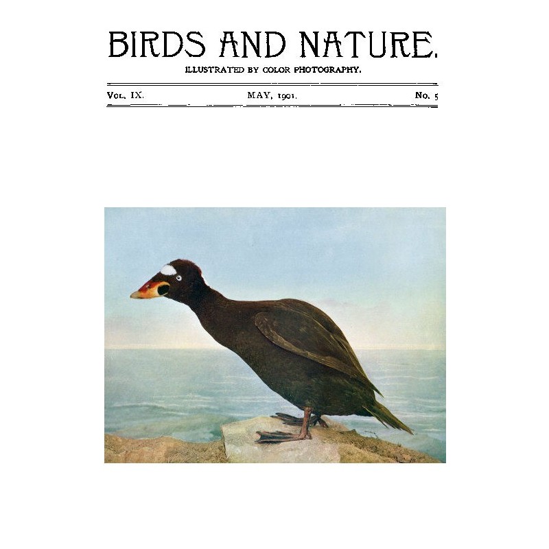 Birds and Nature Vol. 09...