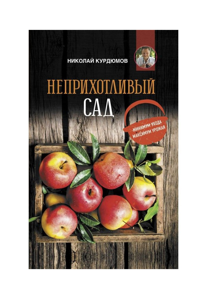 Невибагливий сад: мінімум відходу, максимум урожаю