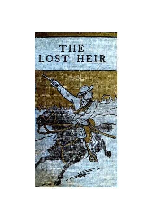 The Lost Heir