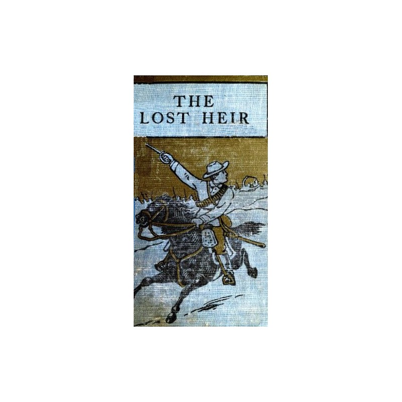 The Lost Heir