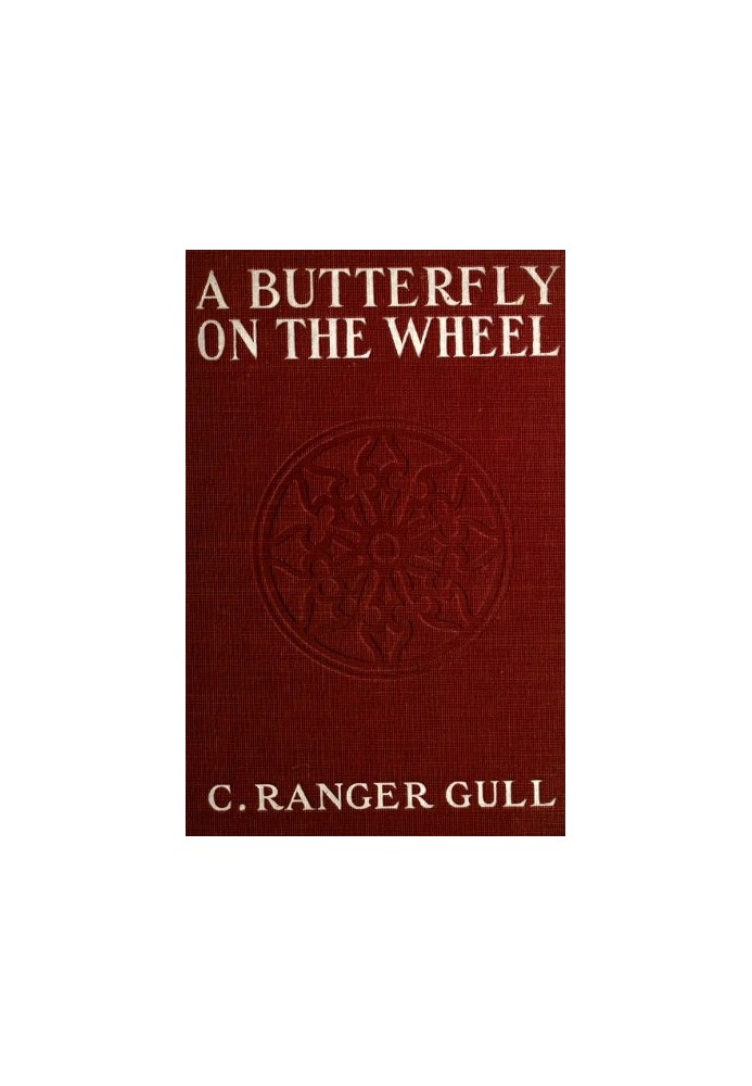 A Butterfly on the Wheel: A Novel