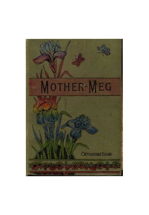 Mother-Meg; or, The Story of Dickie's Attic