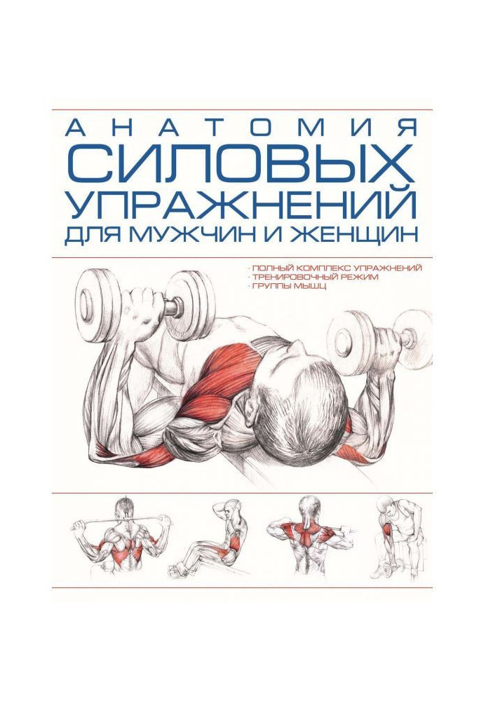 Anatomy of power exercises for men and women