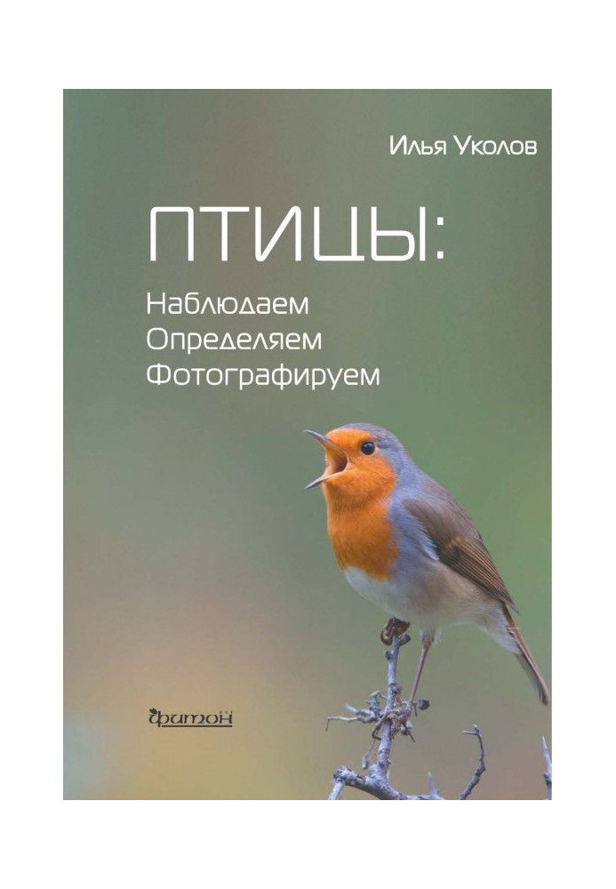 Птахи: спостерігаємо, визначаємо, фотографуємо