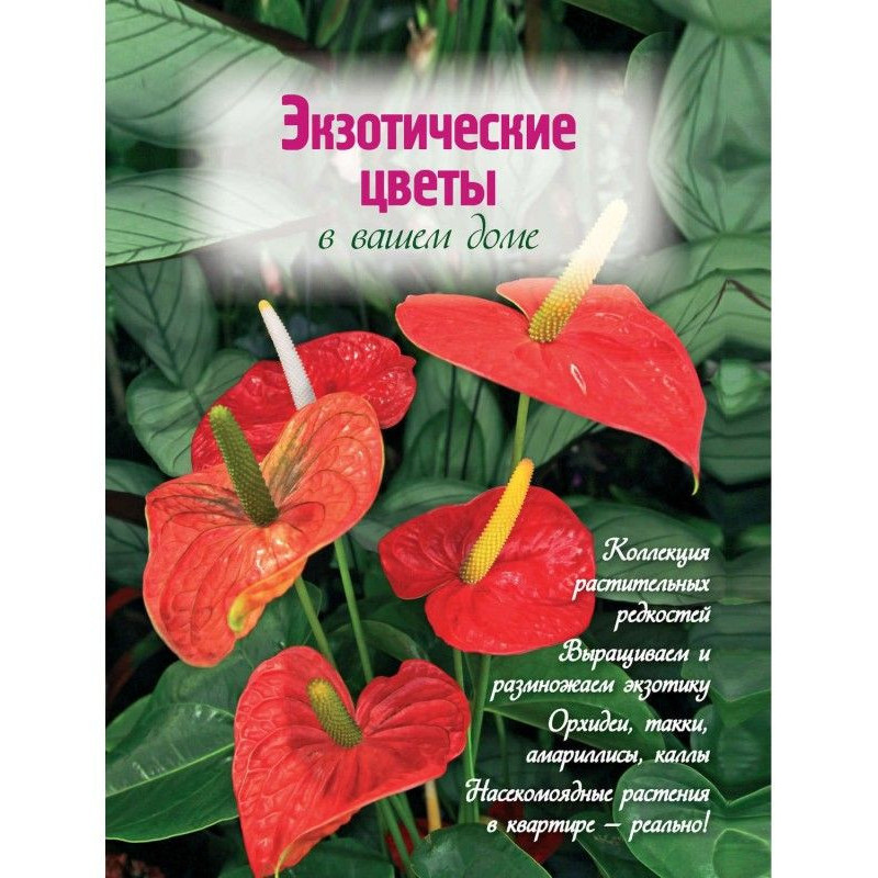 Екзотичні квіти у вашому...