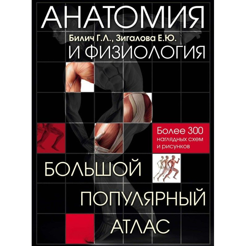Анатомія і фізіологія....