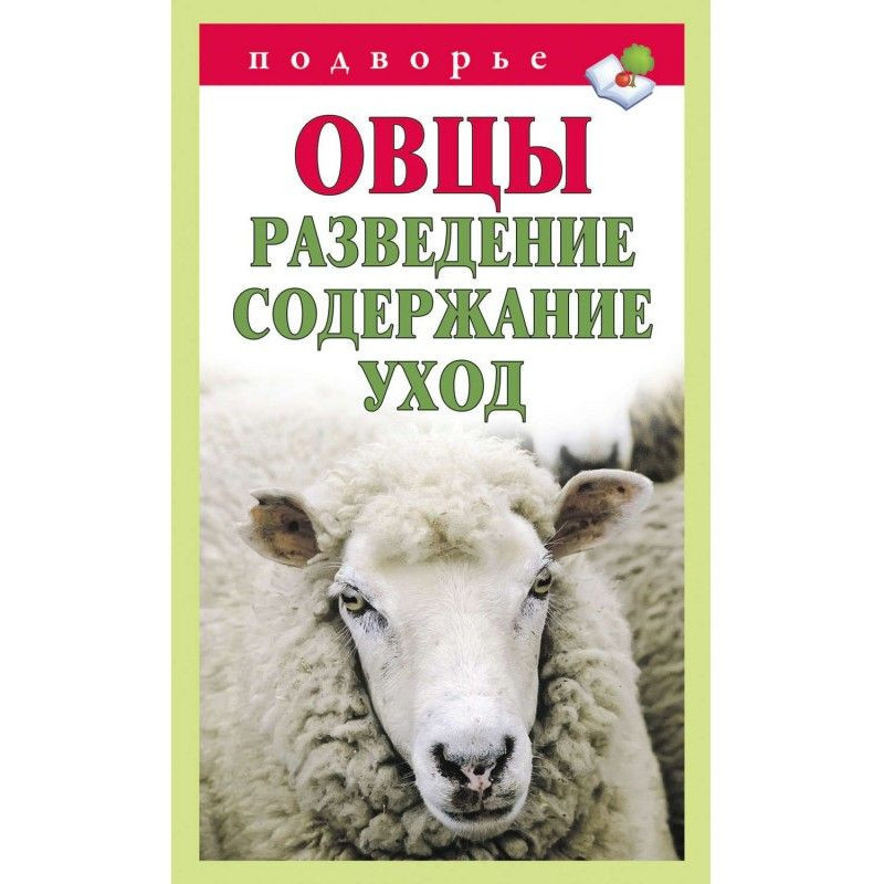 Вівці. Розведення. Зміст....