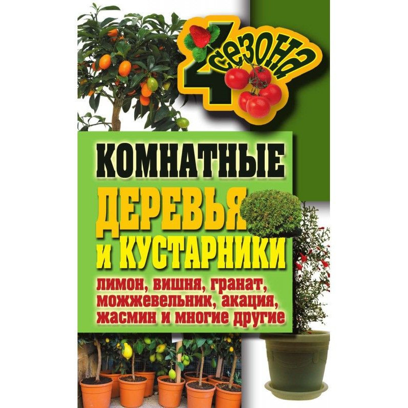 Комнатные деревья и...