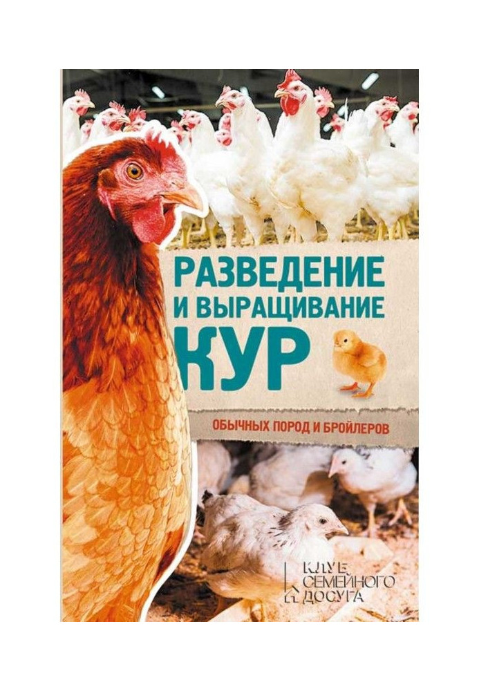 Breeding and growing of chickens of ordinary breeds and broilers