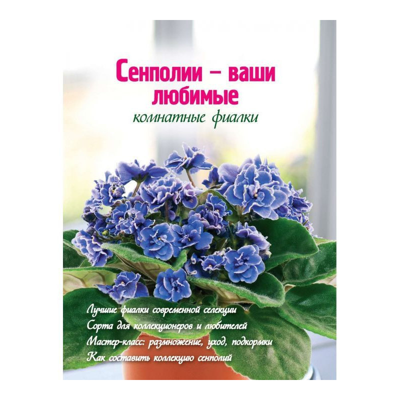 Сенполии are your favourite...