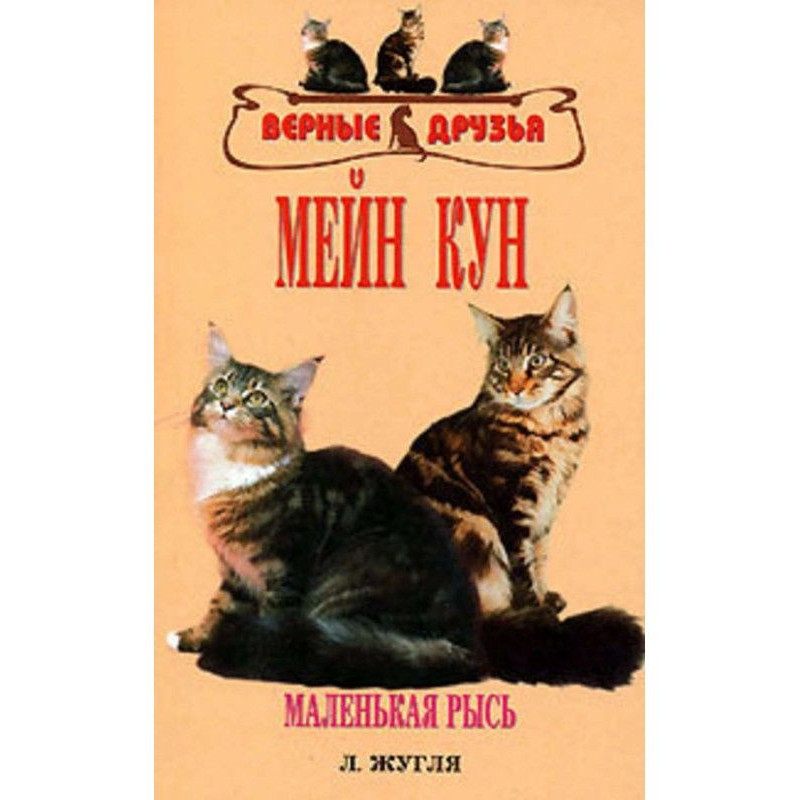 Maine Coon