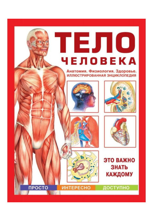 Body of man. Anatomy. Physiology. Health