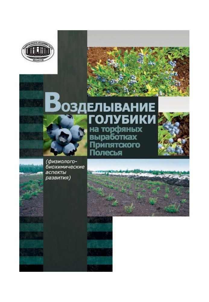 Обробіток голубики на торф'яних виробленнях Прип'ятського Полісся