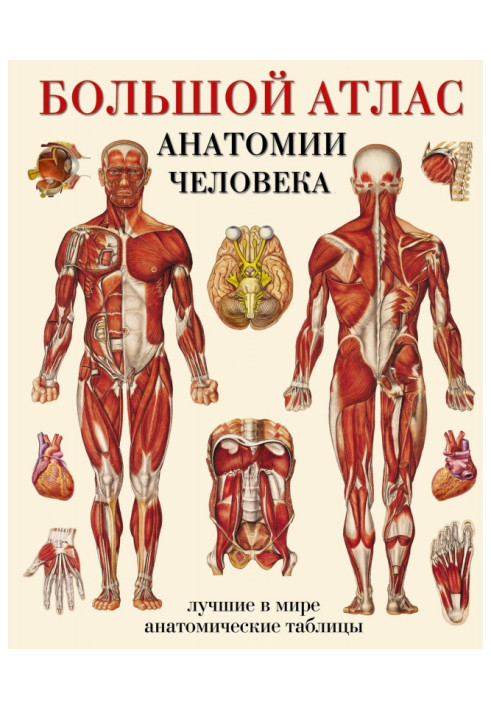 Large atlas of anatomy of man. The best in the world anatomic tables