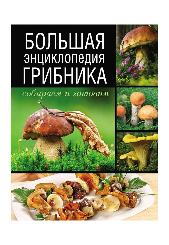 Large encyclopaedia of mushroomer. We collect and prepare