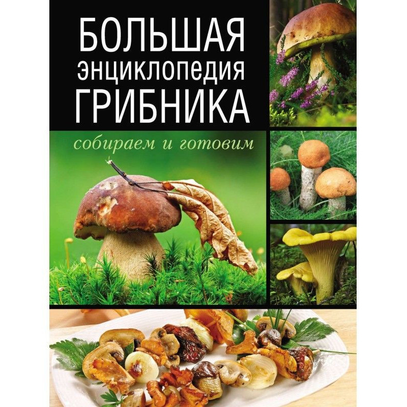 Велика енциклопедія...