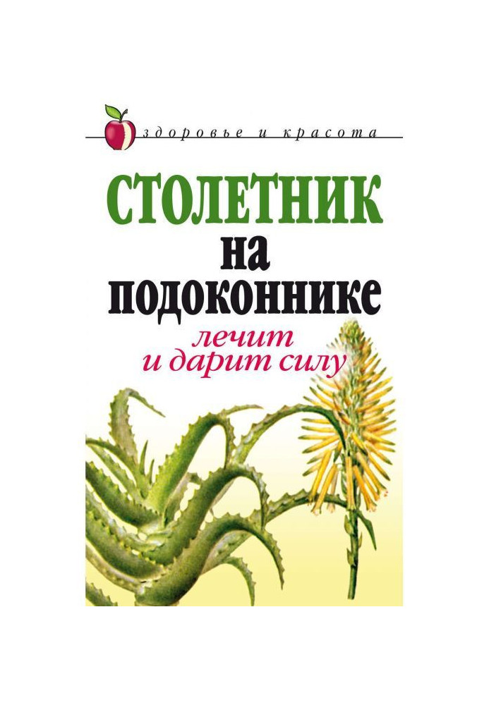 Столітник на підвіконні. Лікує і дарує силу