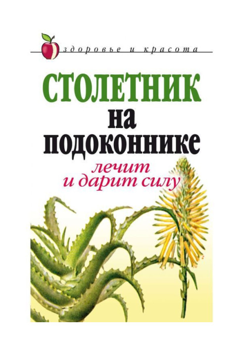 Столітник на підвіконні. Лікує і дарує силу