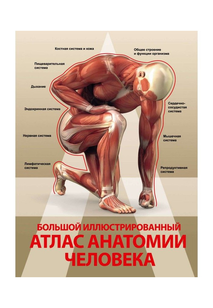 Large illustrated atlas of anatomy of man