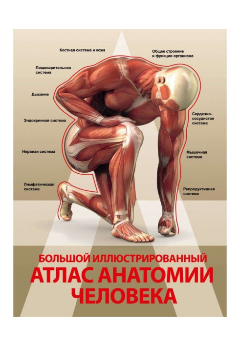 Large illustrated atlas of anatomy of man