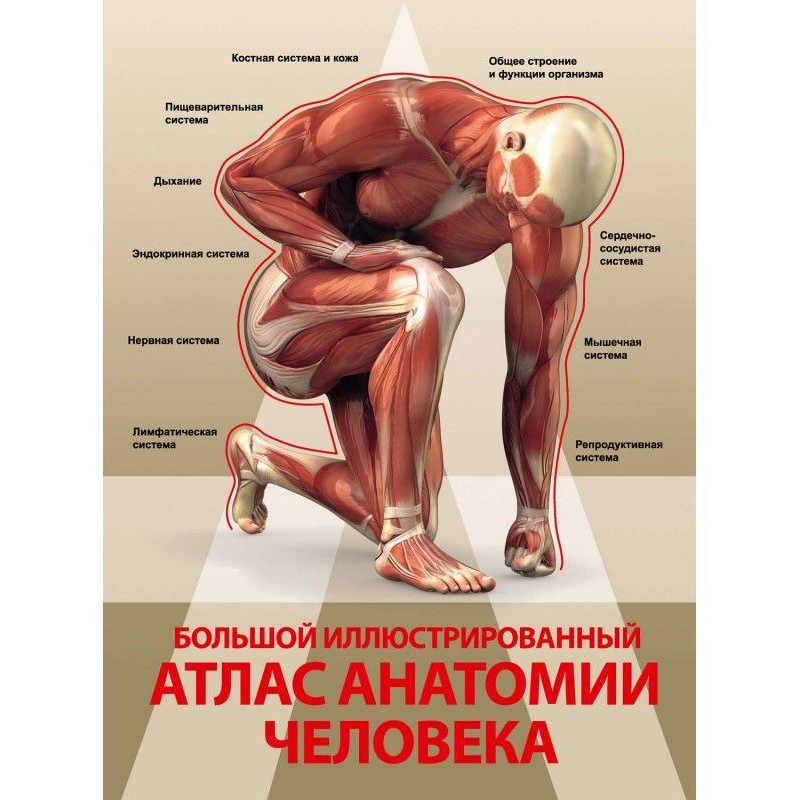 Large illustrated atlas of...